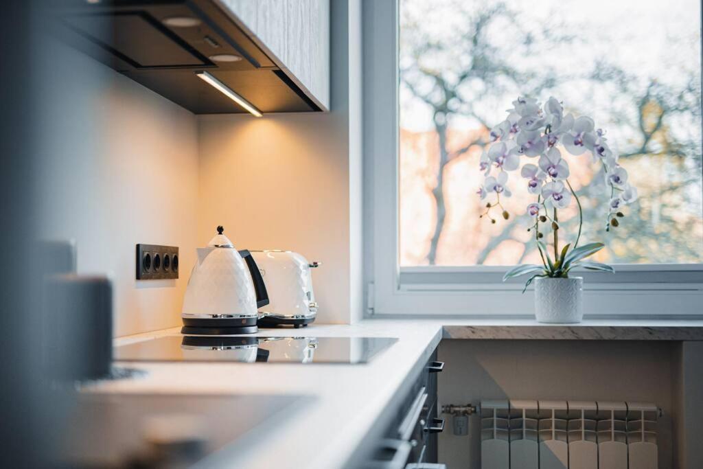 New Luxury 3Br Apartment In Old Town, Free Parking Хаапсалу Экстерьер фото